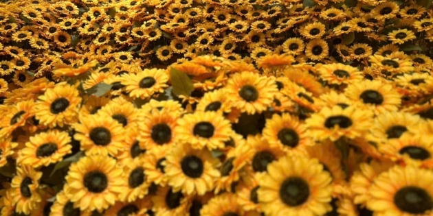 HLC-Starry-Sky-Art-Museum-2