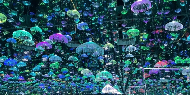 HLC-Starry-Sky-Art-Museum-5