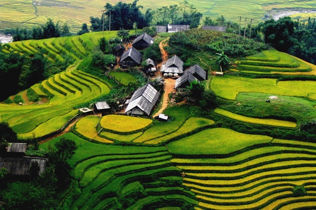 Tour Sapa - Cát Cát - Hàm Rồng - Fansipan (3N2Đ)