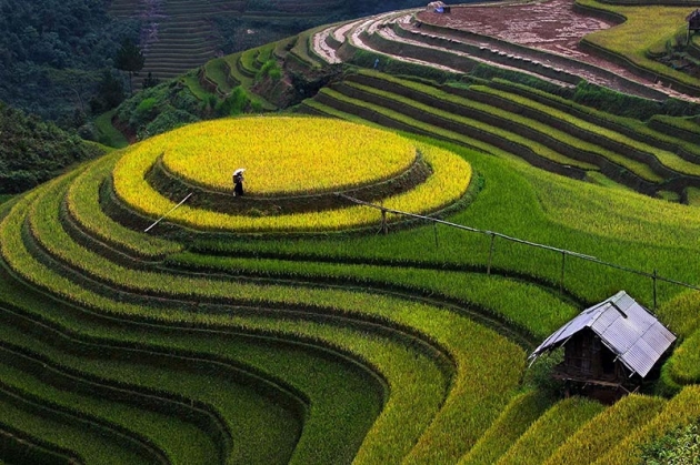 Hà Nội - Mù Cang Chải - Suối Giàng - Tú Lệ - Hà Nội (3N2Đ)