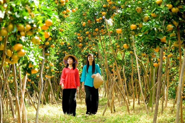 Tour Mỹ Tho - Cần Thơ - Chợ Nổi (2N1Đ)