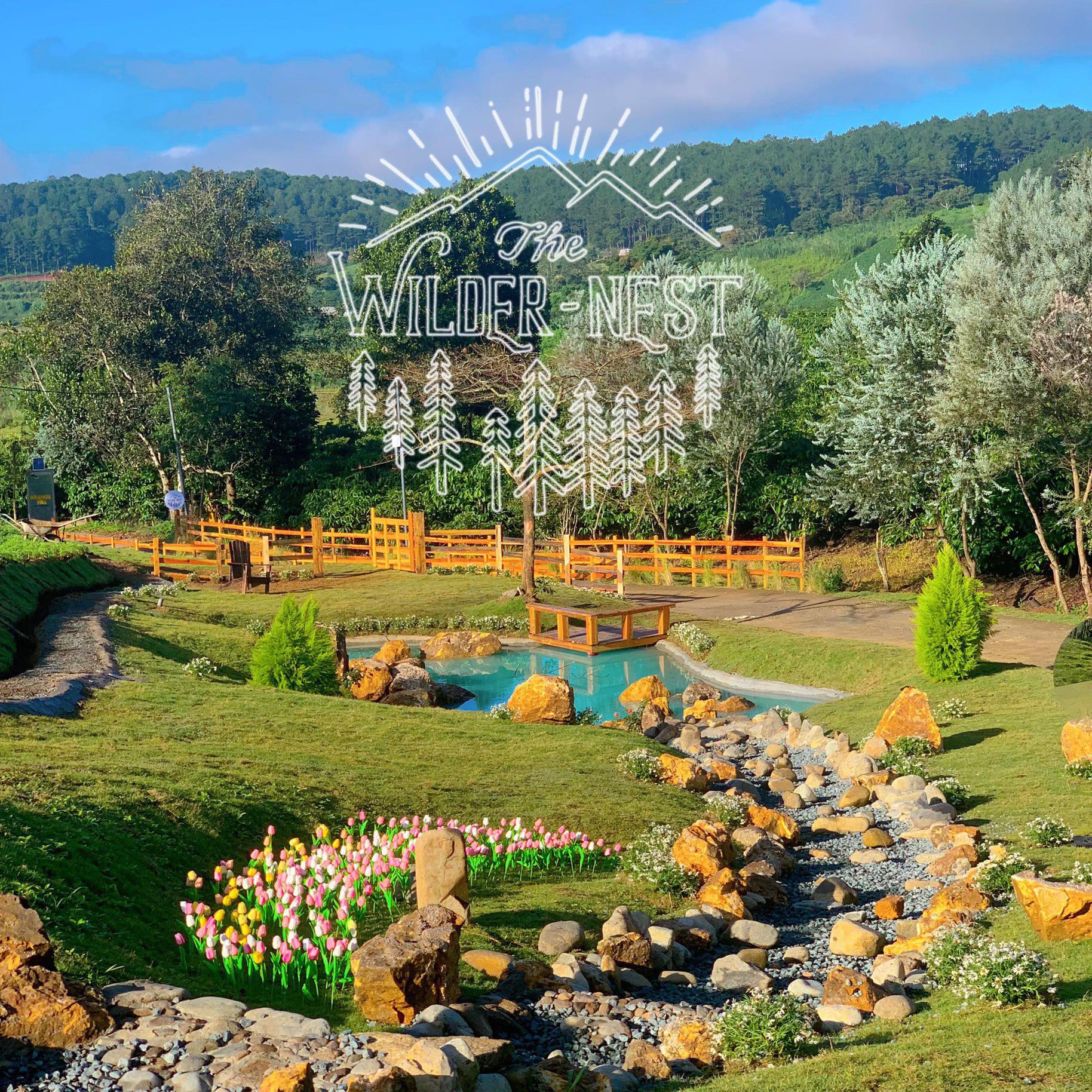 thewildernest-da-lat