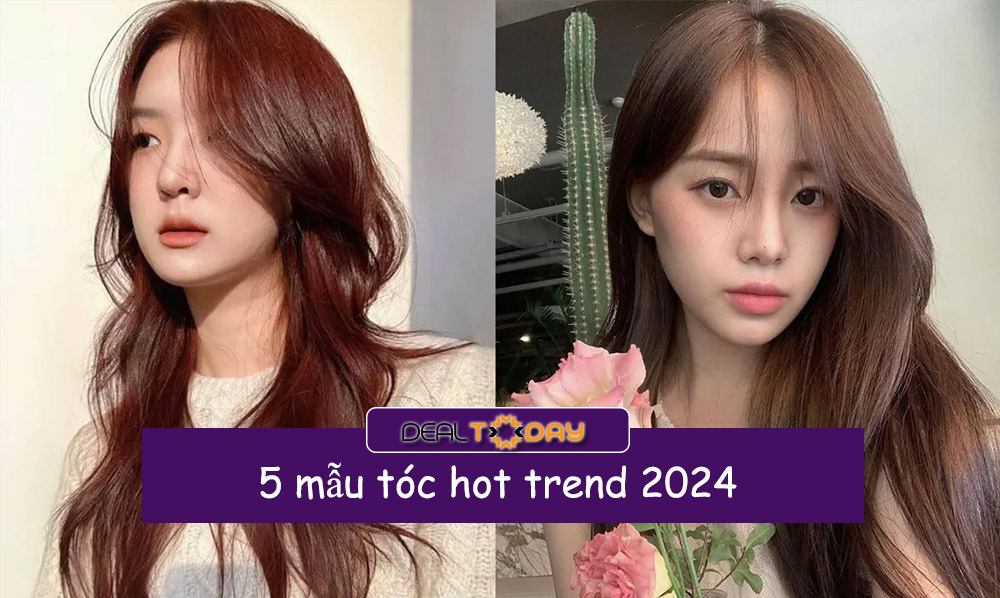 toc-hot-trend-2024
