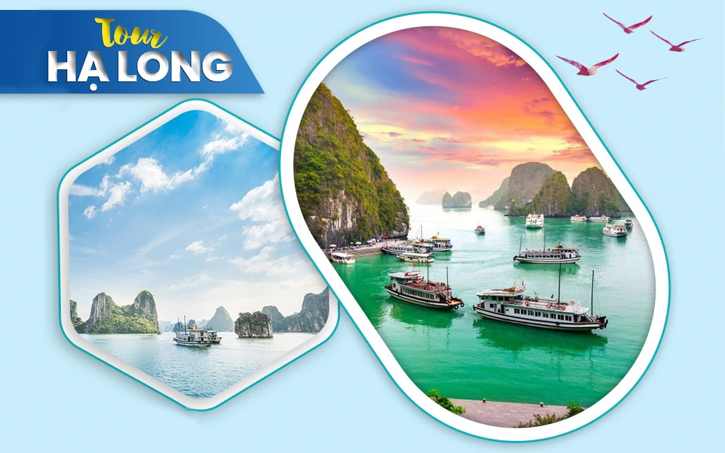 tour-ha-long-co-gi