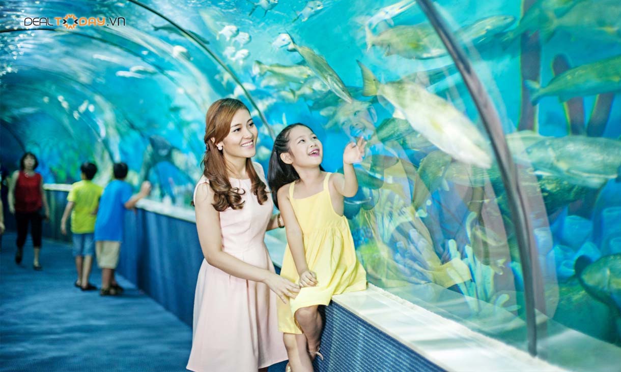 vui-choi-cho-tre-tai-thuy-cung-Vinpearl-Aquarium