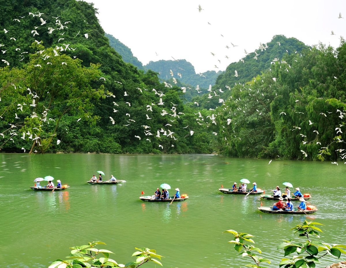 vuon-chim-thung-nham