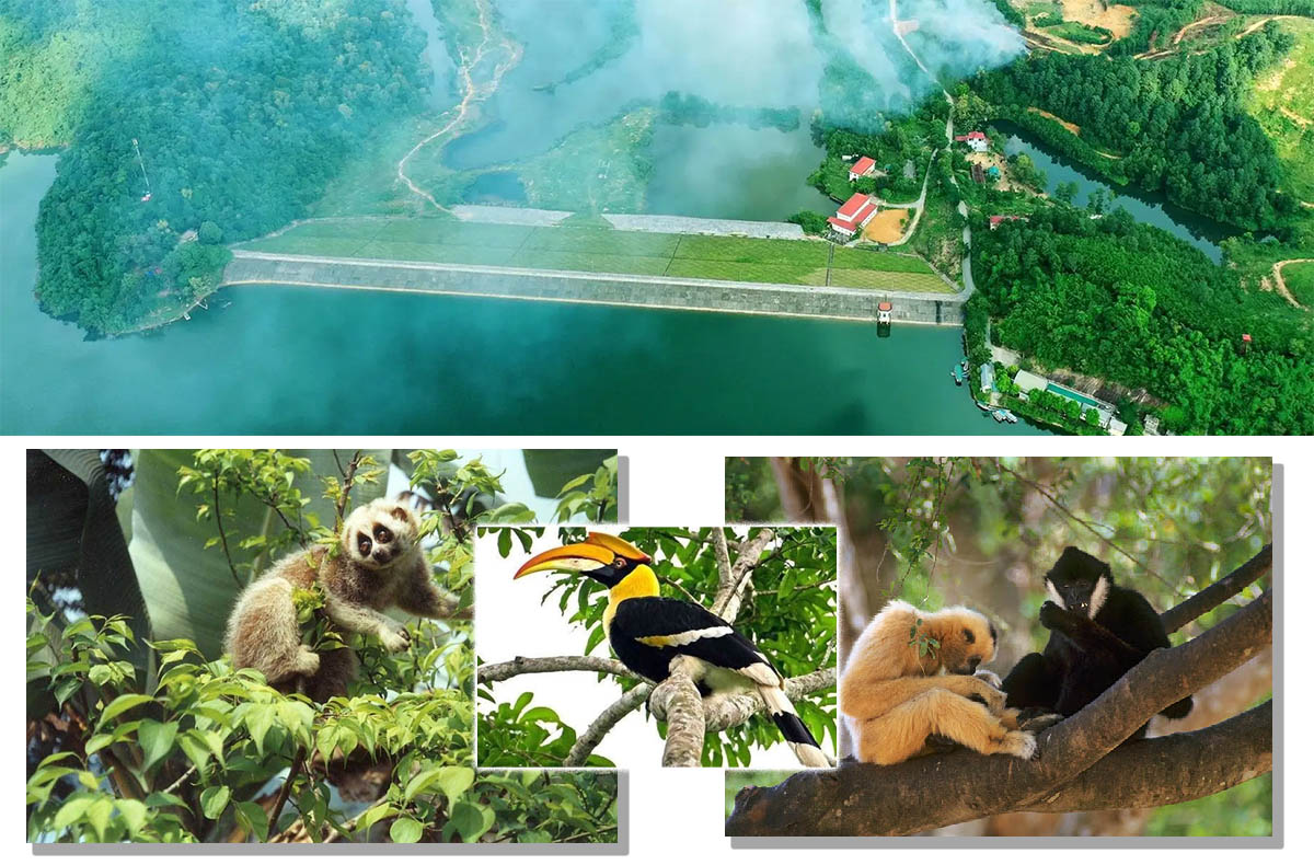 vuon-quoc-gia-ben-en