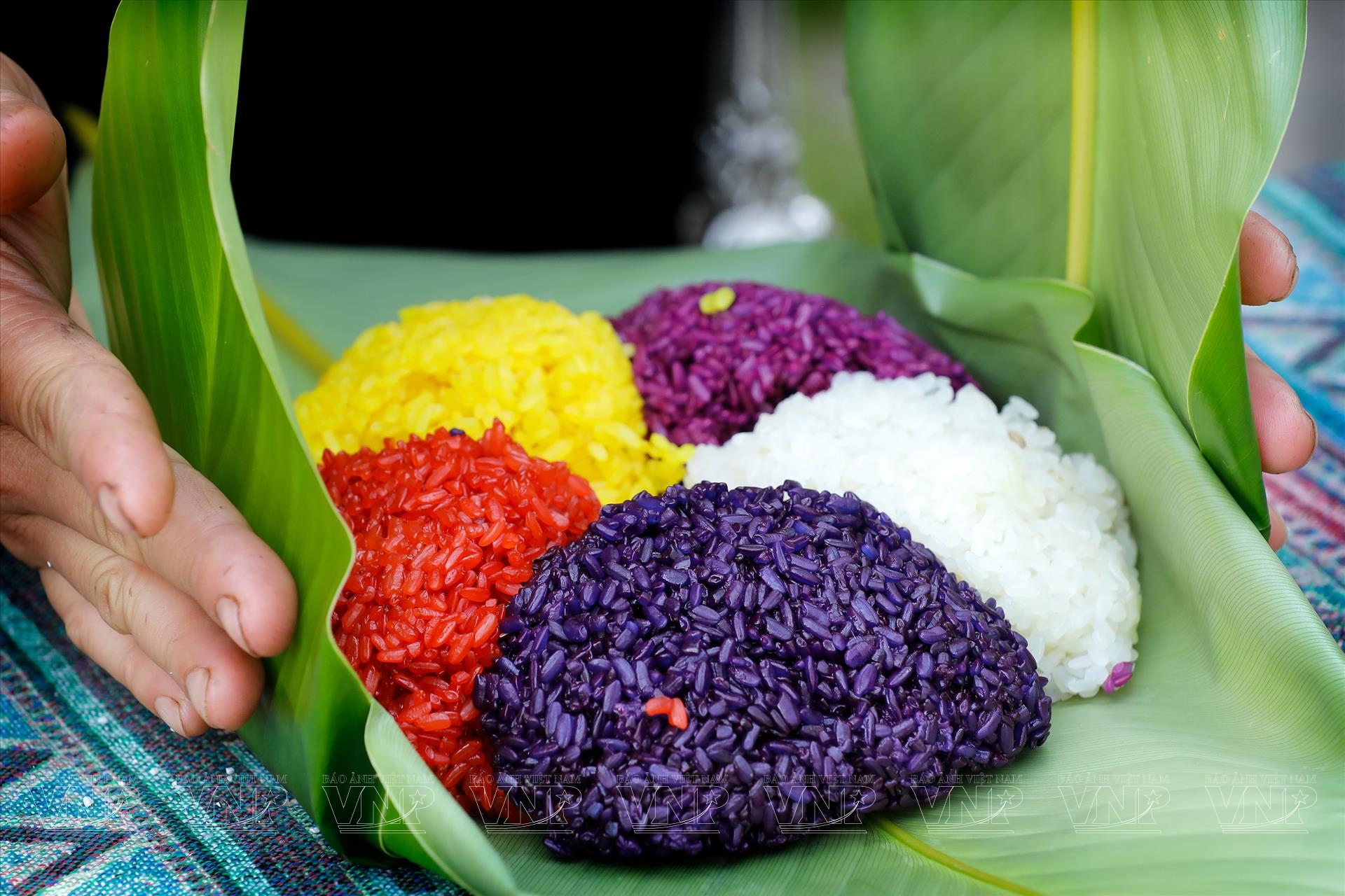 xoi-ngu-sac-sapa